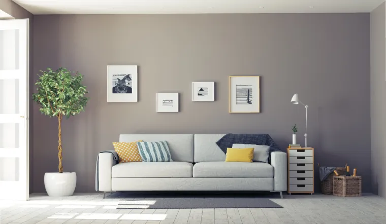 Paint-Color-Guide