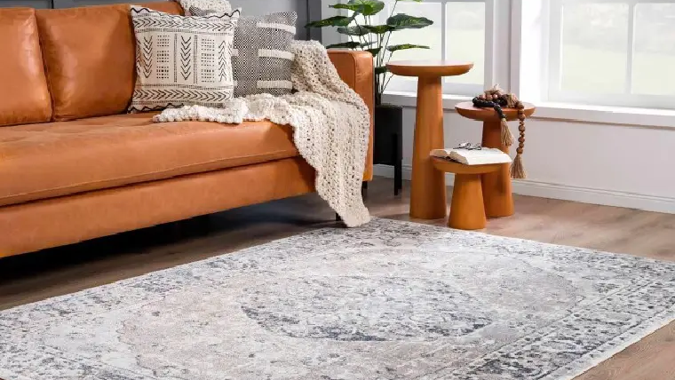 Boutique Rugs living room area rug in modern design