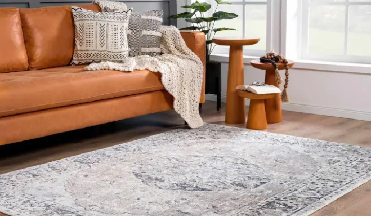 Boutique Rugs living room area rug in modern design